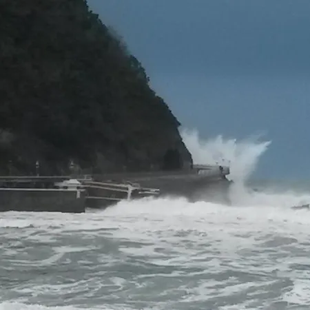 Ekia Pentsioa 2* Zarautz